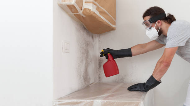 Professional Mold Remediation technician working in Englewood Cliffs, NJ
